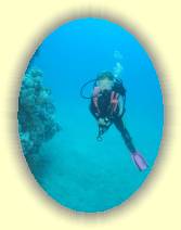 IMG_2007_05_25 14_11_05 * 1559 x 2078 * (230KB)